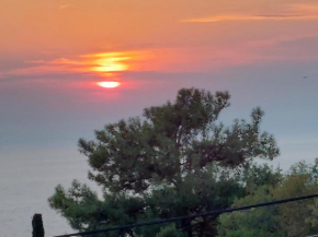 PORTO KATSIKI-HOME
